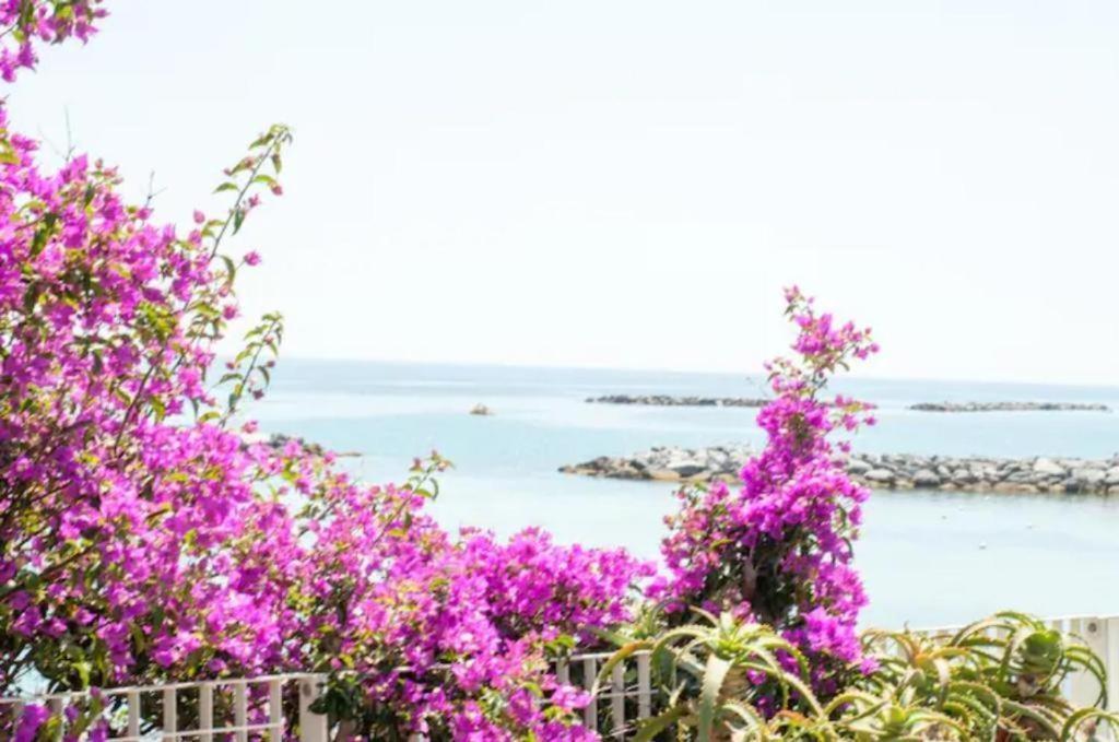 סנרמו Casa Vacanza Rossella מראה חיצוני תמונה