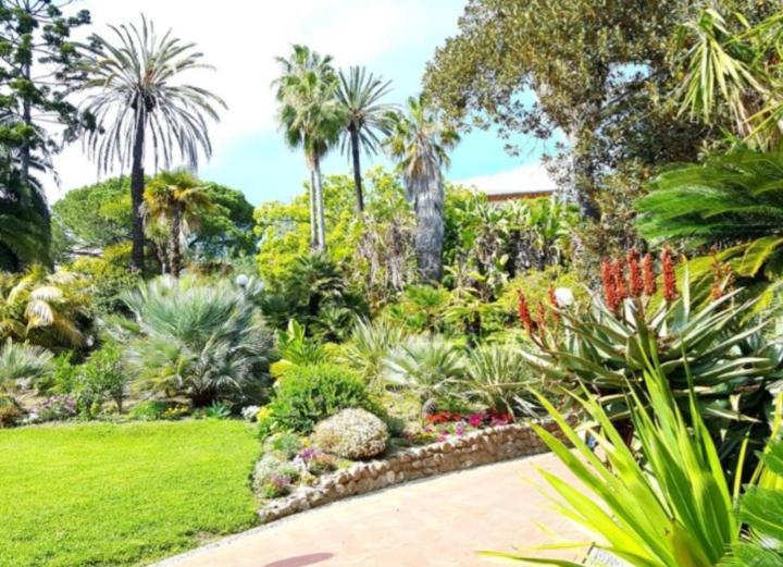 סנרמו Casa Vacanza Rossella מראה חיצוני תמונה
