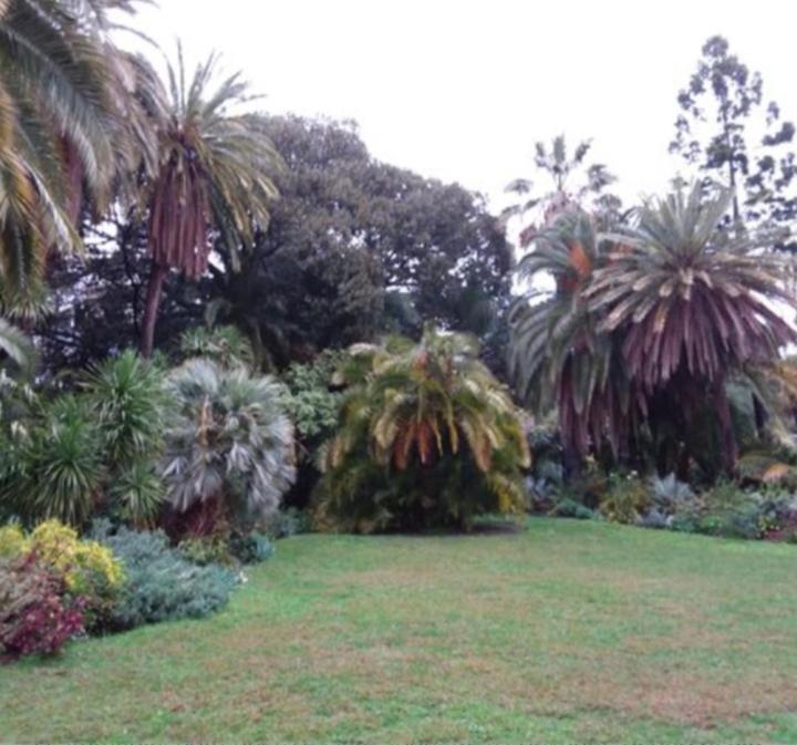 סנרמו Casa Vacanza Rossella מראה חיצוני תמונה